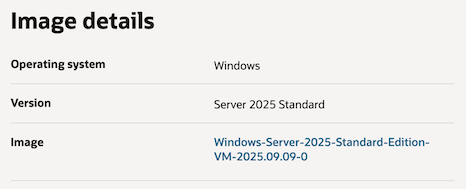 image-20251025225007169