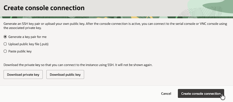 image-20251025231200995