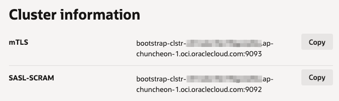 image-20251117152258675